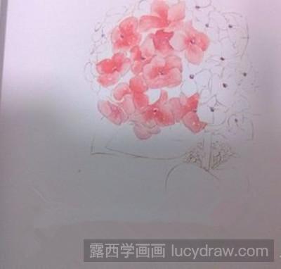 水彩画教程：怎样画一幅水彩绣球花