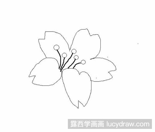 简笔画教程：教你画桃花瓣