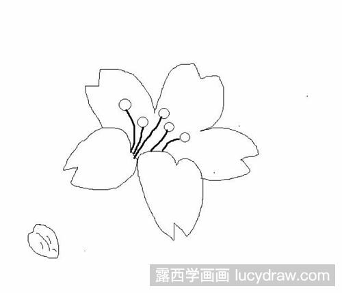 桃花瓣儿简笔画图片