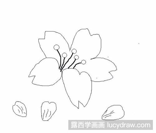 简笔画教程：教你画桃花瓣