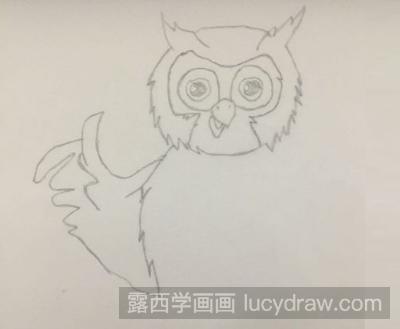 简笔画教程：教你画猫头鹰
