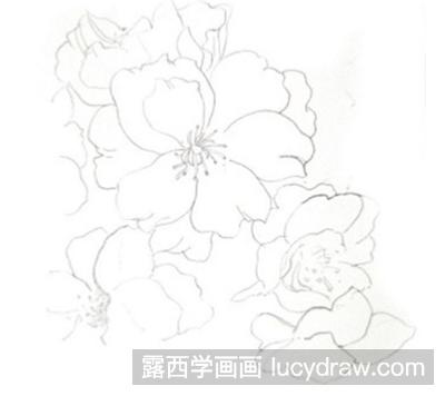 水彩画教程：淡化法画樱花