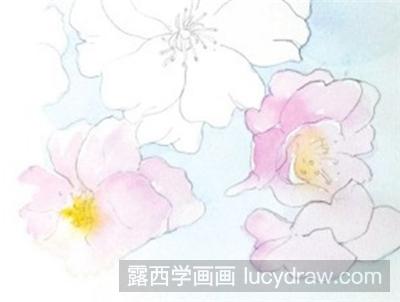 水彩画教程：淡化法画樱花