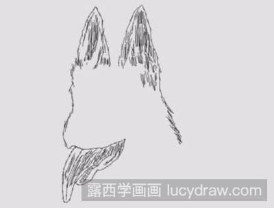 简笔画教程：教你画职业犬