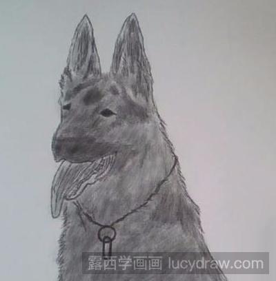 简笔画教程：教你画职业犬