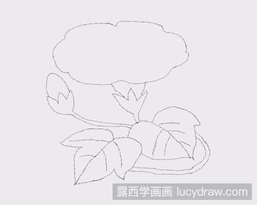 简笔画教程：怎样画牵牛花