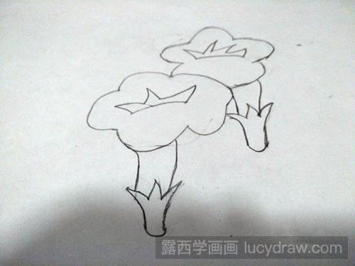 牵牛花的简笔画法