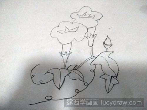 牵牛花的简笔画法