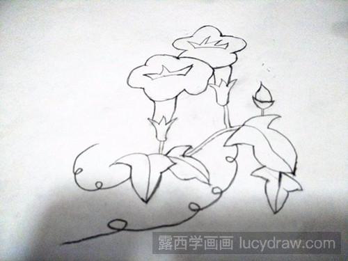 牵牛花的简笔画法