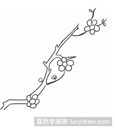 怎么画梅花