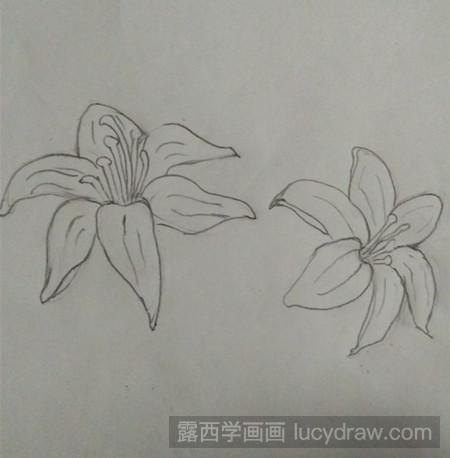 百合花的简笔画法