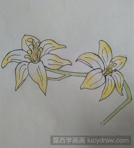 百合花的简笔画法