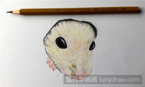 彩铅画教程：破纸而出的小仓鼠