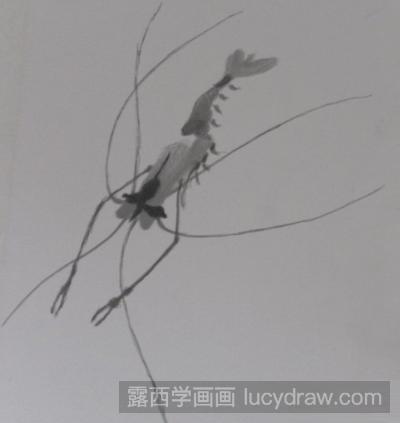 简笔画教程：教你画大虾