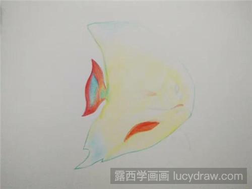 小丑鱼彩铅画教程