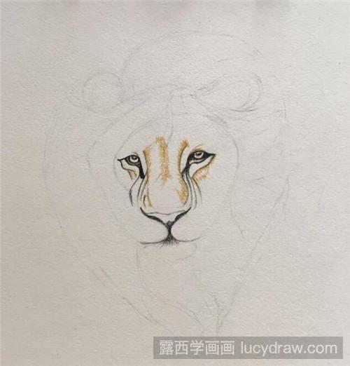 狮子彩铅画教程