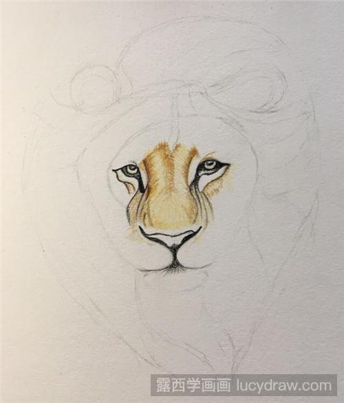 狮子彩铅画教程