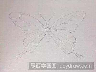 彩铅画教程怎么画花蝴蝶