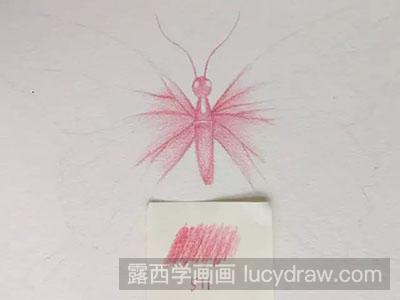 彩铅画教程怎么画花蝴蝶