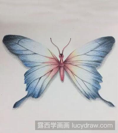 彩铅画教程怎么画花蝴蝶