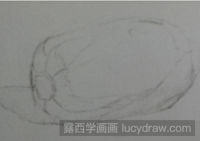 素描教程：教你画大白菜