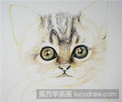 彩铅画教程：可爱小猫咪的画法