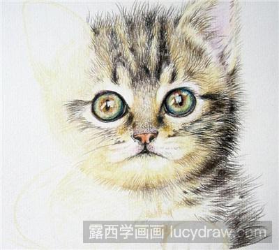 彩铅画教程：可爱小猫咪的画法