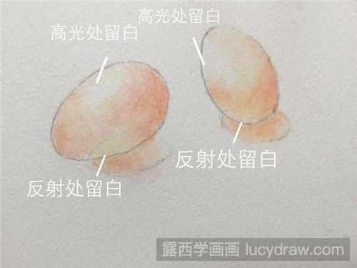 鸡蛋水彩画教程
