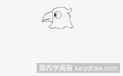 简笔画教程：教你画鹦鹉