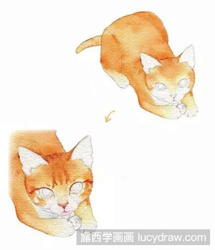 水彩画教程：怎么画可爱的幼猫