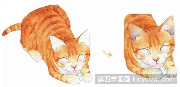 水彩画教程：怎么画可爱的幼猫