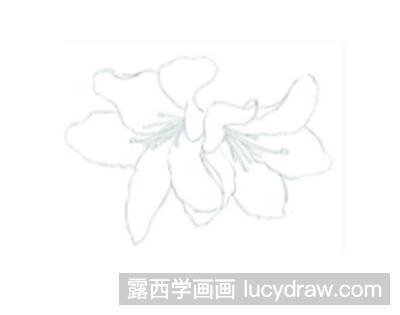 彩铅画教程：教你画杜鹃花