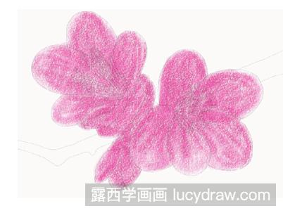 梅花的彩铅画法