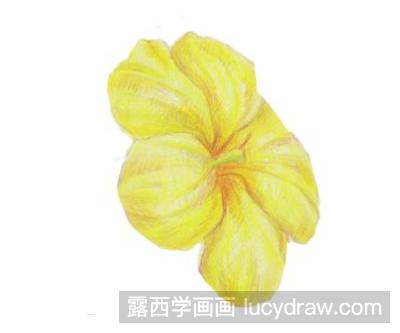 怎样画迎春花彩铅画