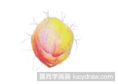 怎样画迎春花彩铅画