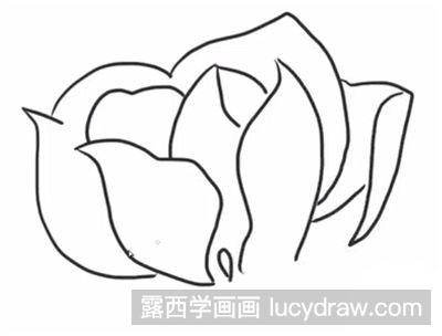 怎么绘制简笔画玉兰花教程