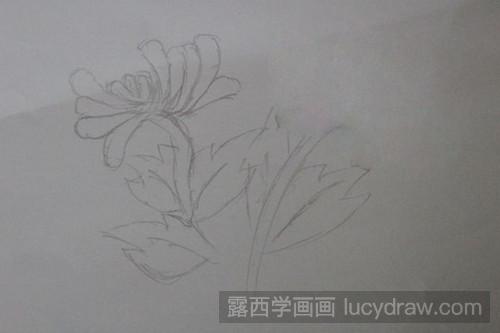 菊花怎么画