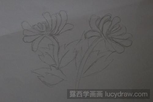 菊花怎么画