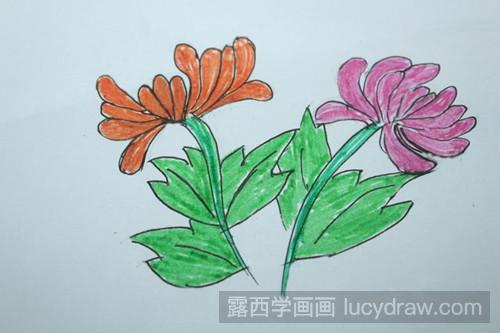 菊花怎么画