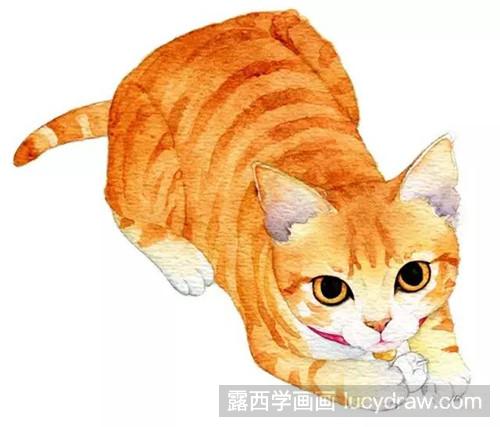 贪吃猫水彩画教程