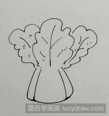 简笔画教程：教你画大白菜