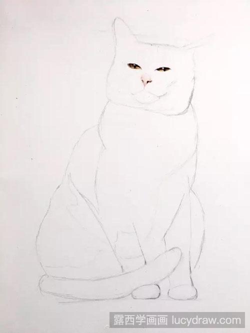 彩铅猫咪画法教程