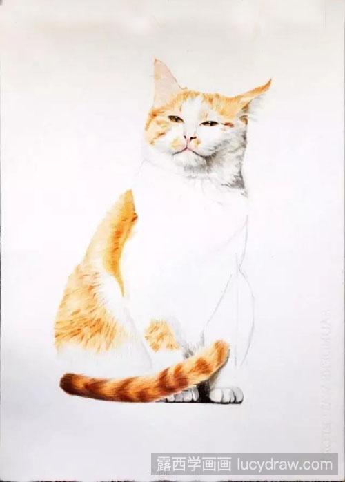 彩铅猫咪画法教程