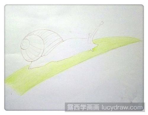 蜗牛彩铅画教程