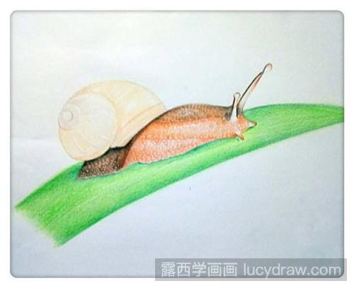 蜗牛彩铅画教程