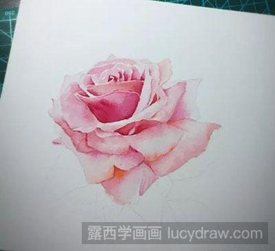 水彩画教程：怎么绘制玫瑰