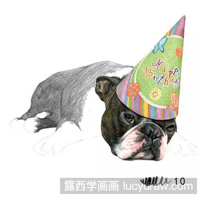 彩铅画教程：教你画斗牛犬