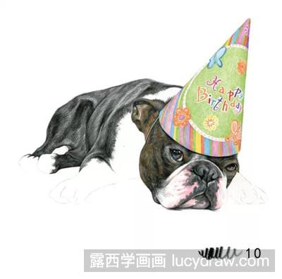 彩铅画教程：教你画斗牛犬