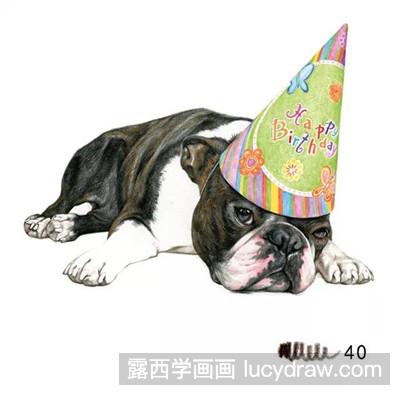 彩铅画教程：教你画斗牛犬