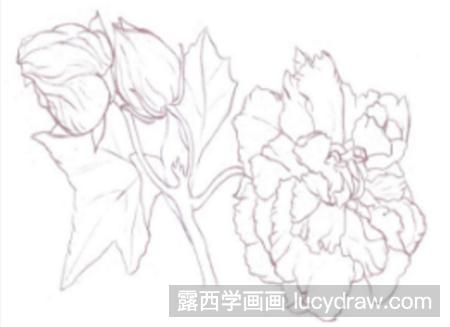 彩铅画教程：教你画木芙蓉